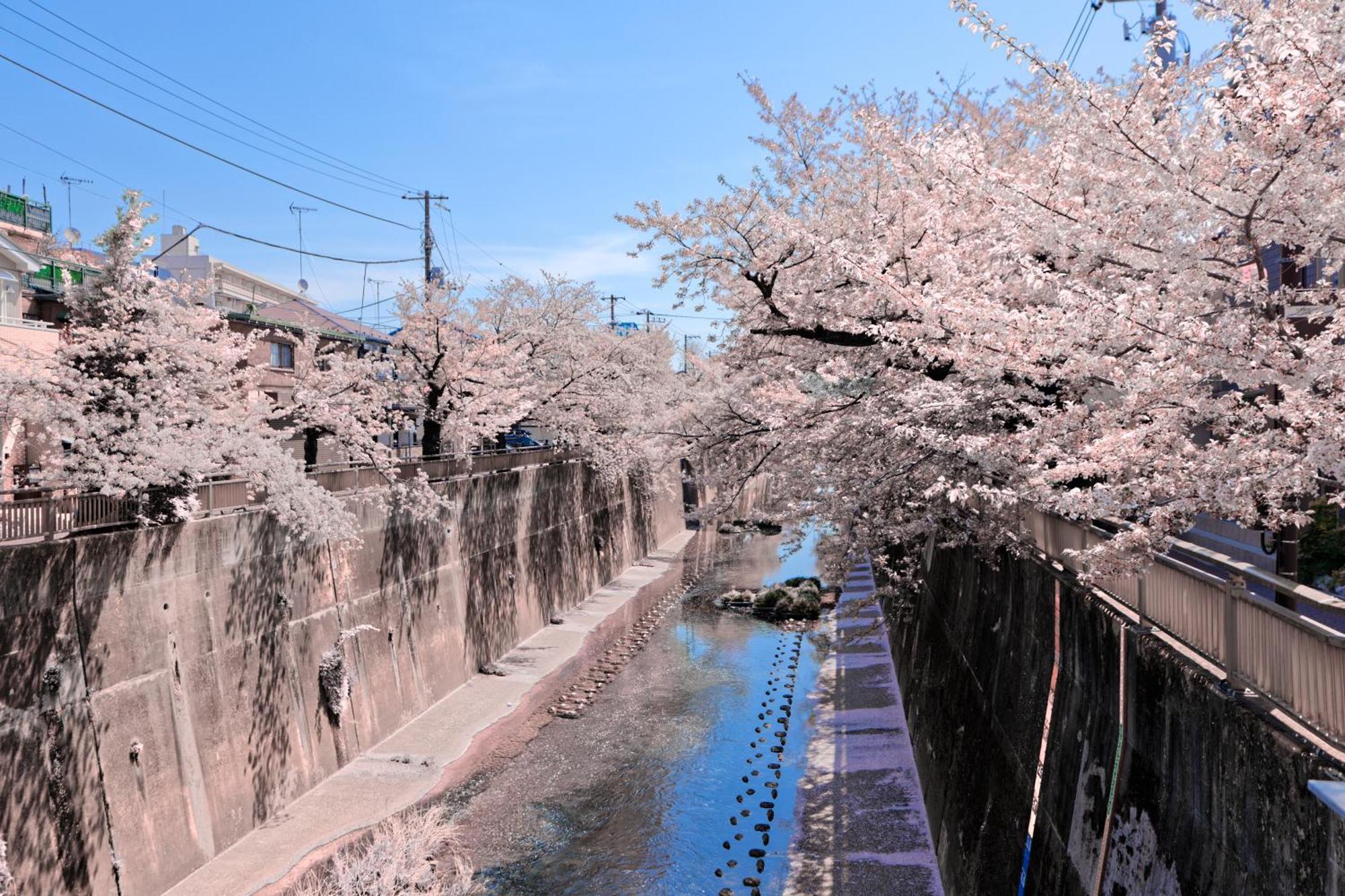 Calm Riverside Inn Close To Ikebukuro Токио Экстерьер фото